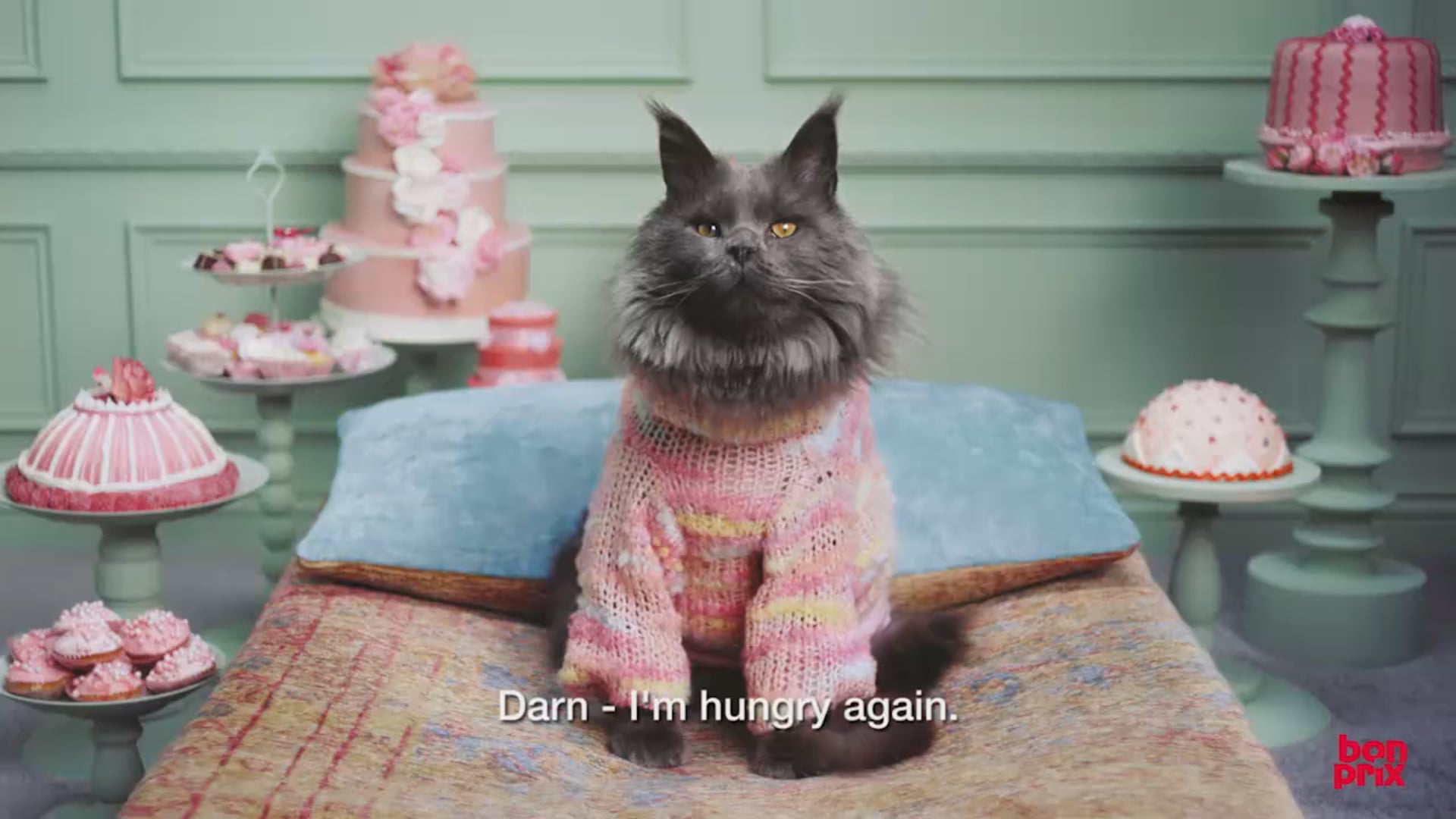 BONPRIX-Catz