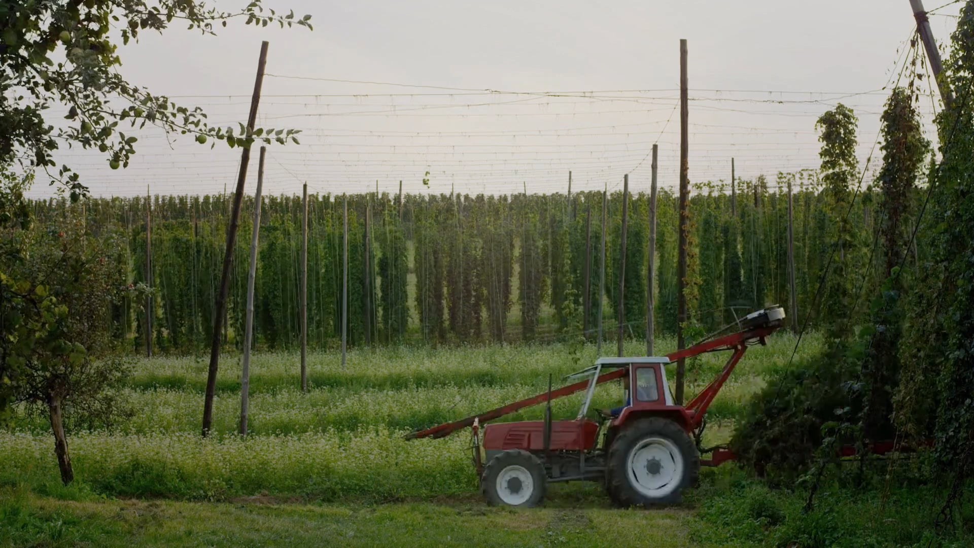 BECKS – Soundpils