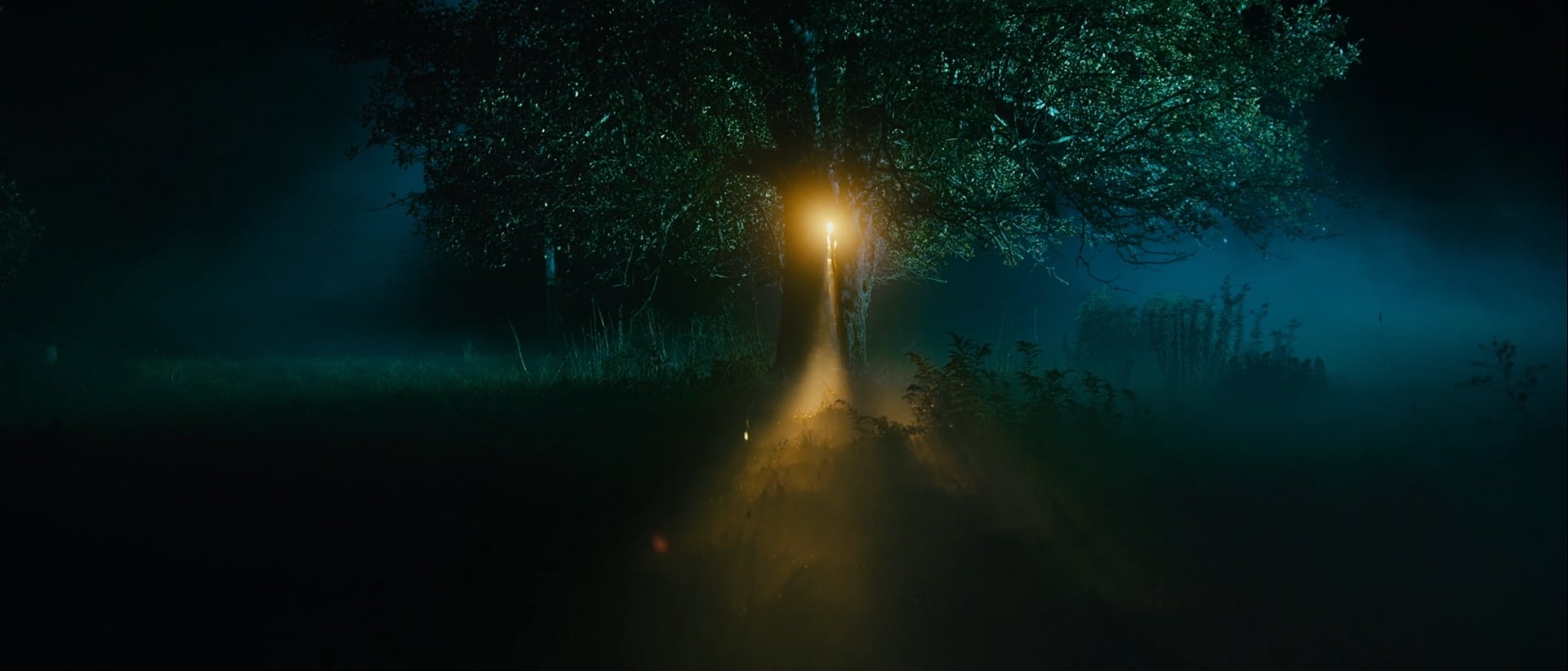 THE LIGHT