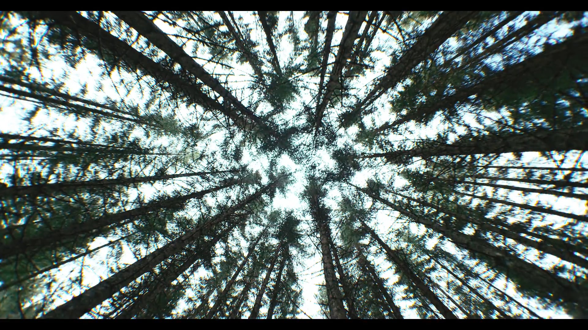 SKOGSTAD – It´s in my nature