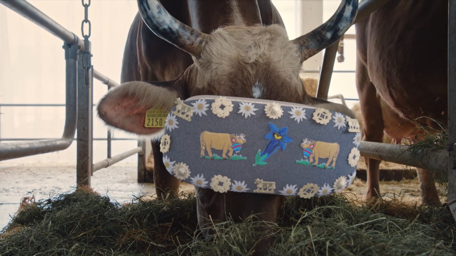Appenzeller