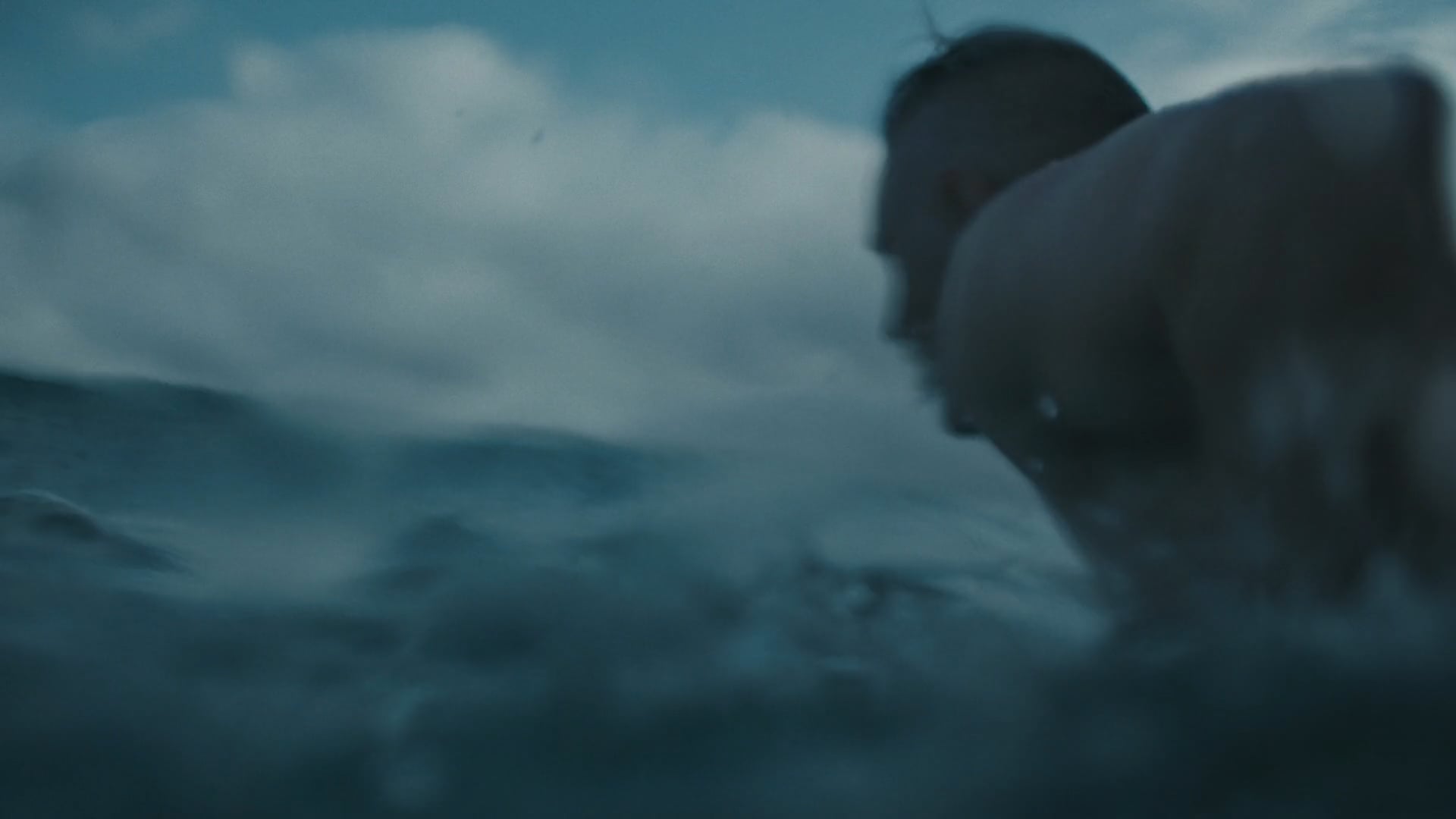 Bonitas – Surviving