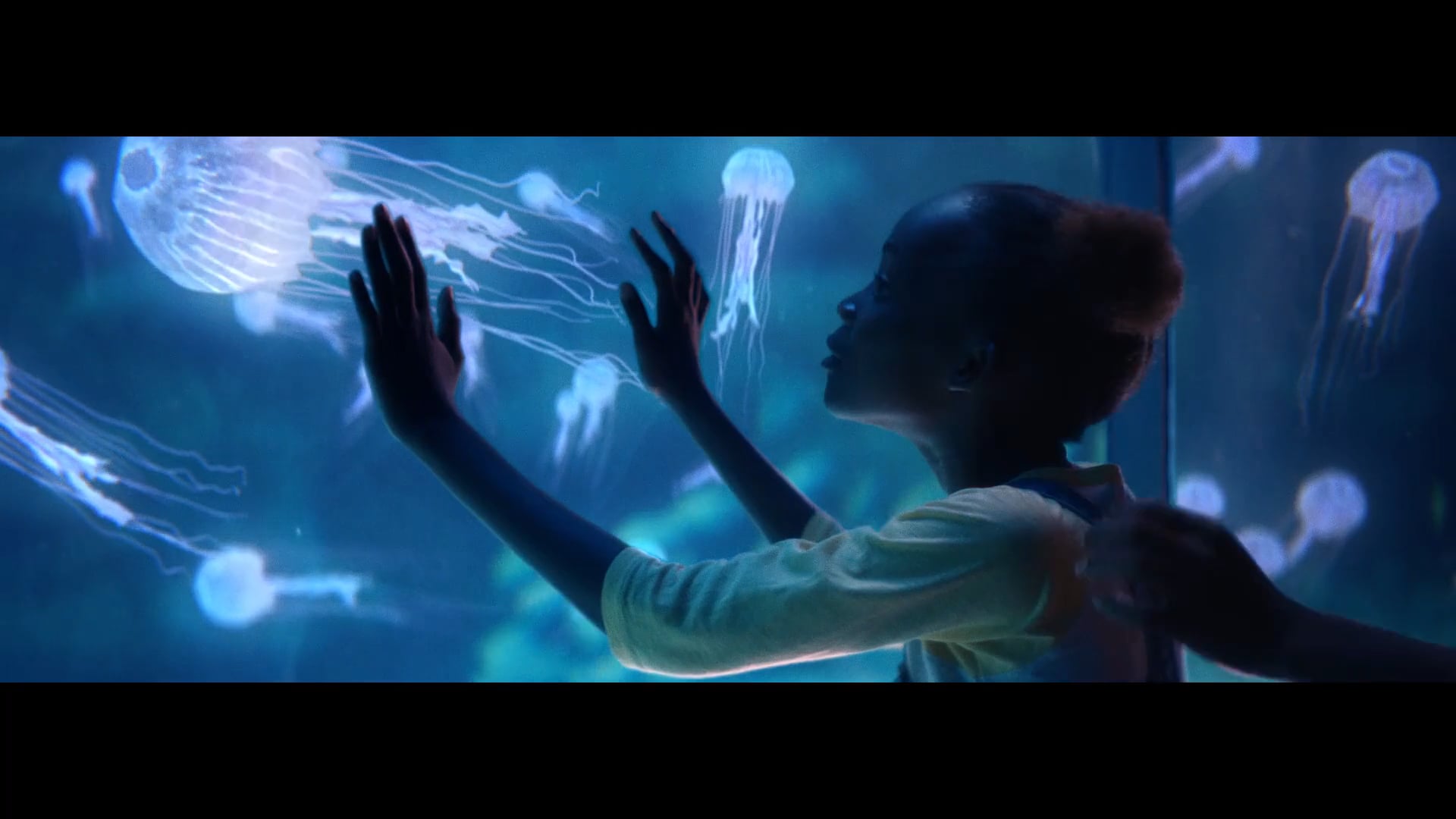 FLYING BLUE  – What moves you
