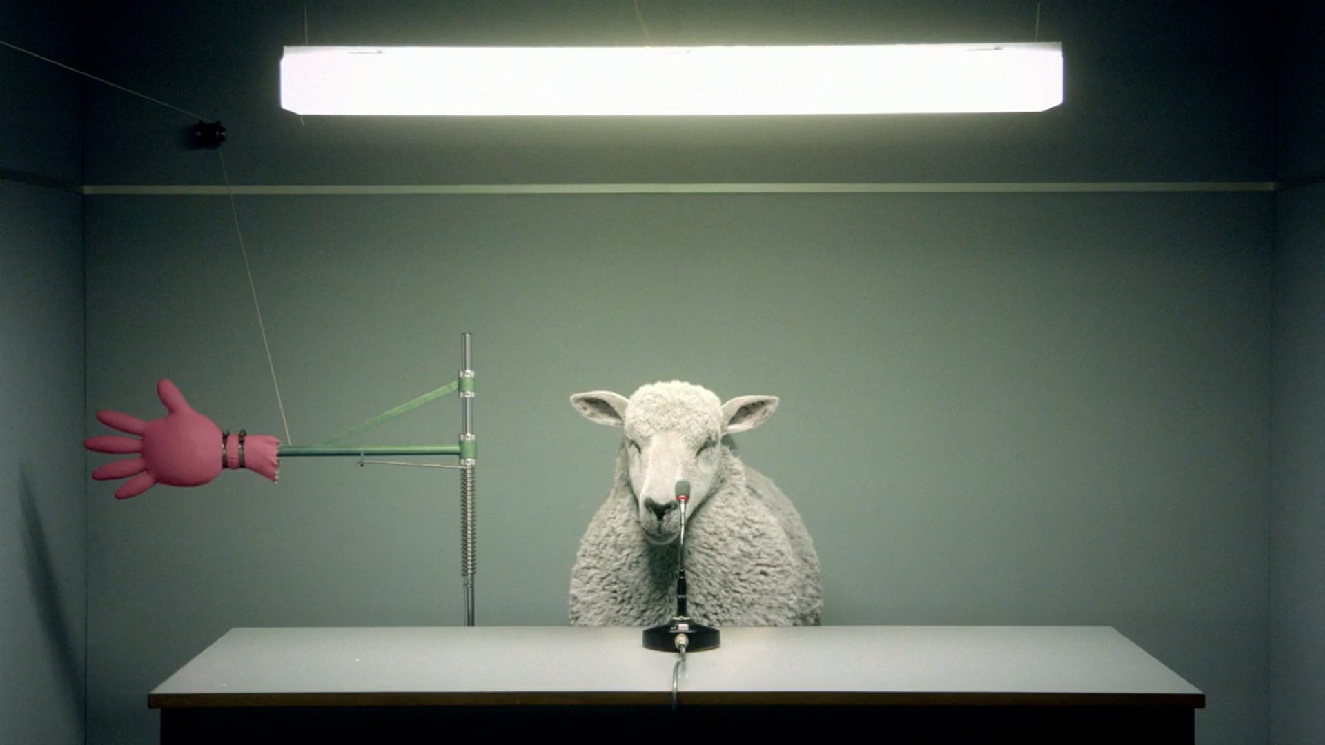 Sirenentest “Tierischer Alarm”