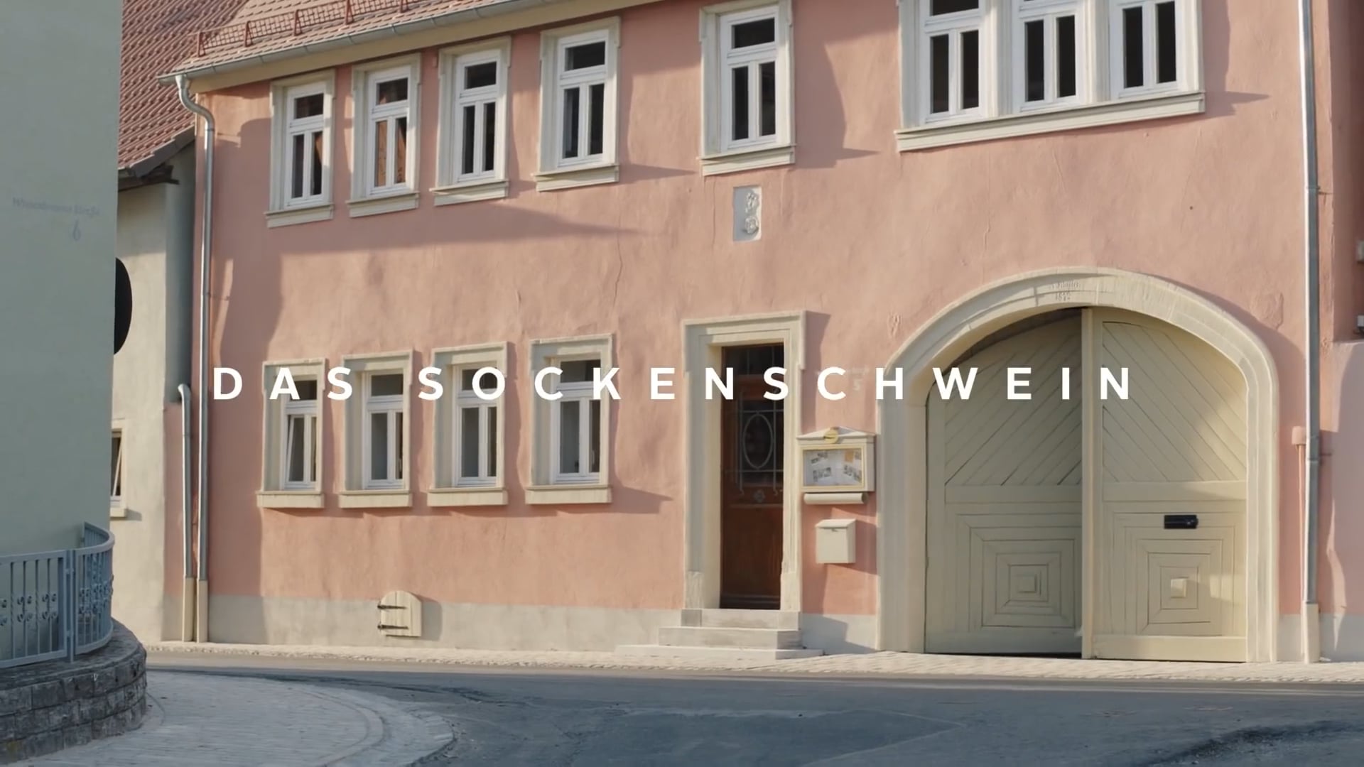 OTTO – Das Sockenschwein