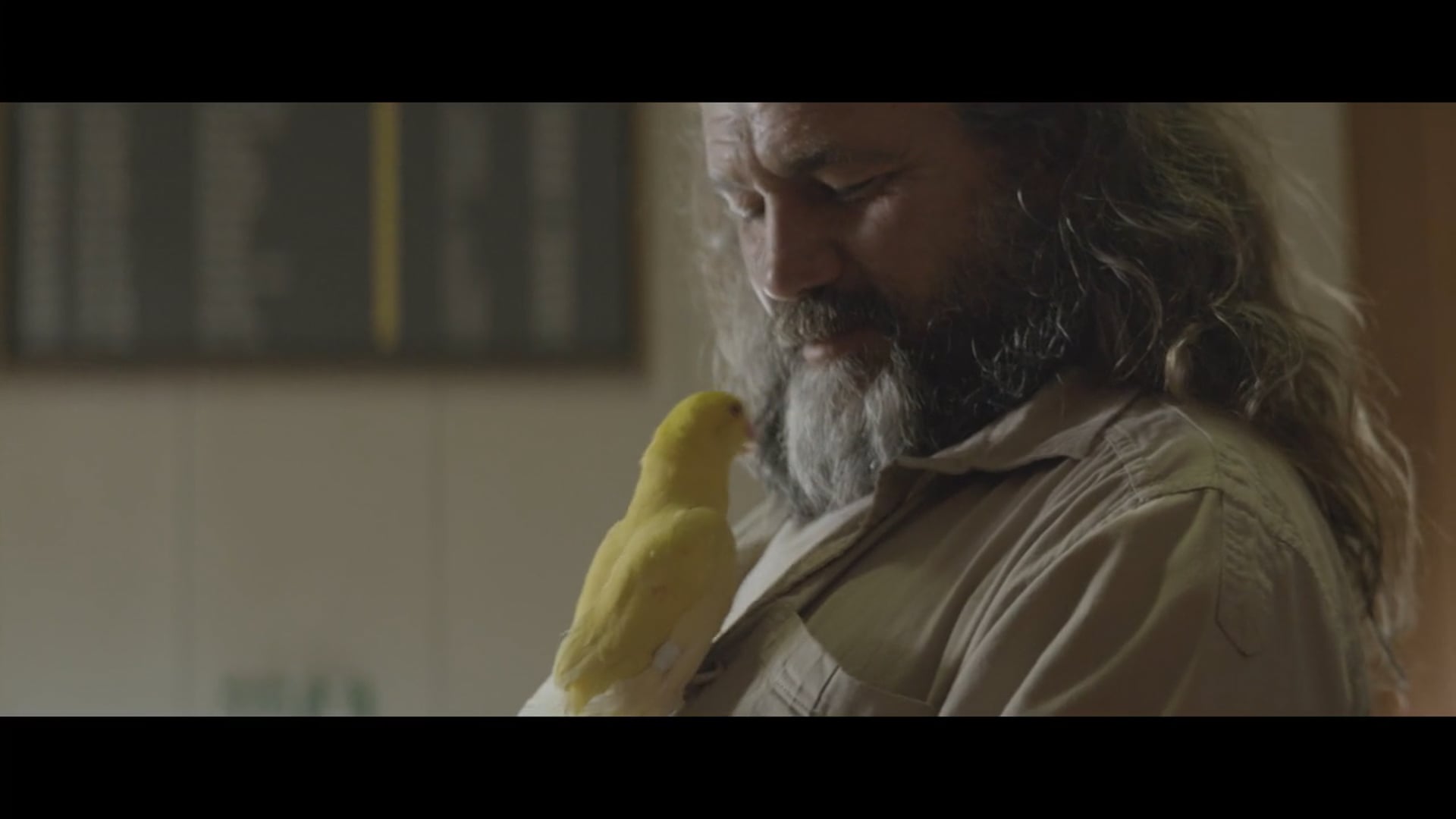 SAMSONITE – Enjoy every second (DC)