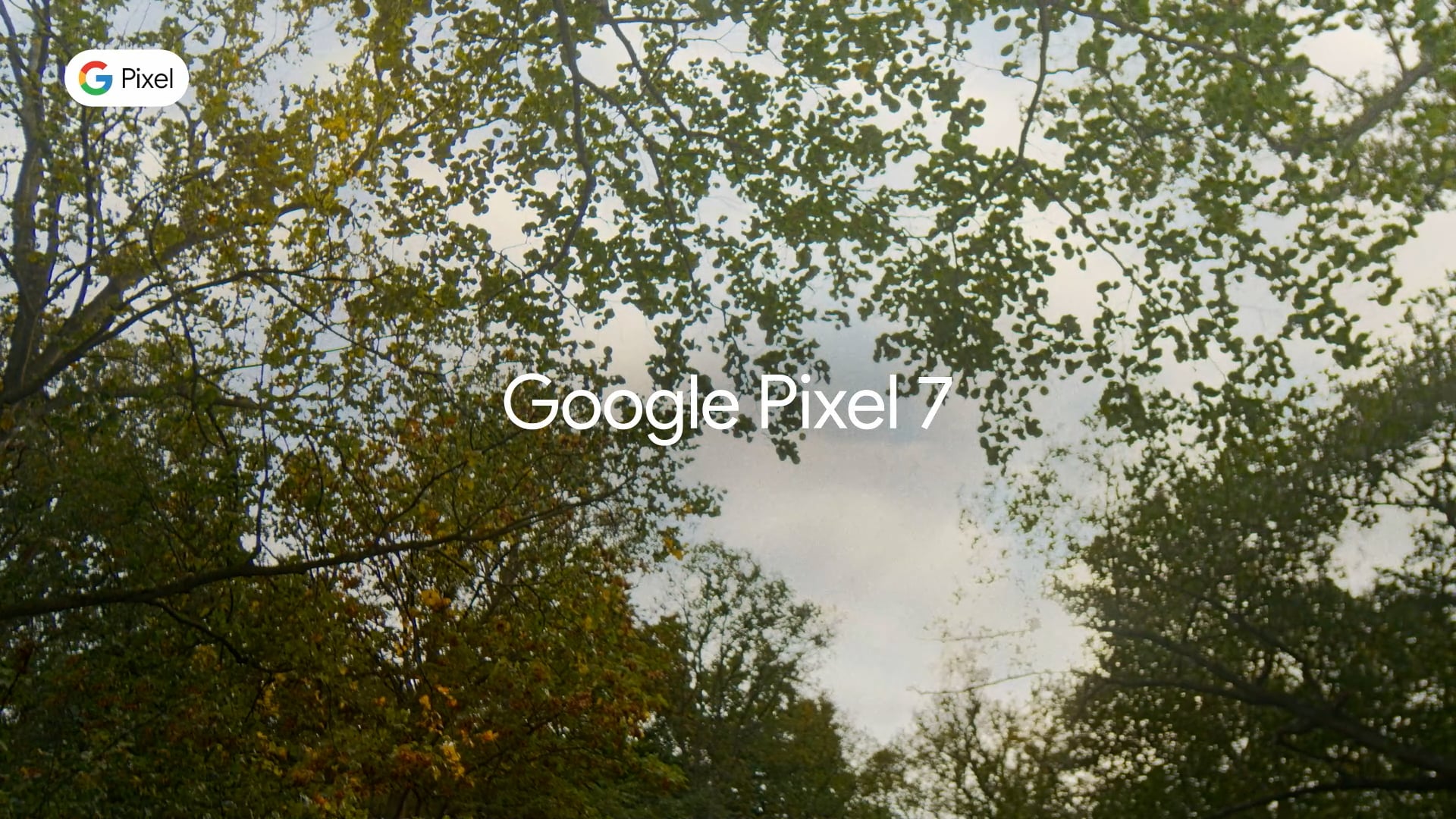 GOOGLE Pixel – Neighbour 21s