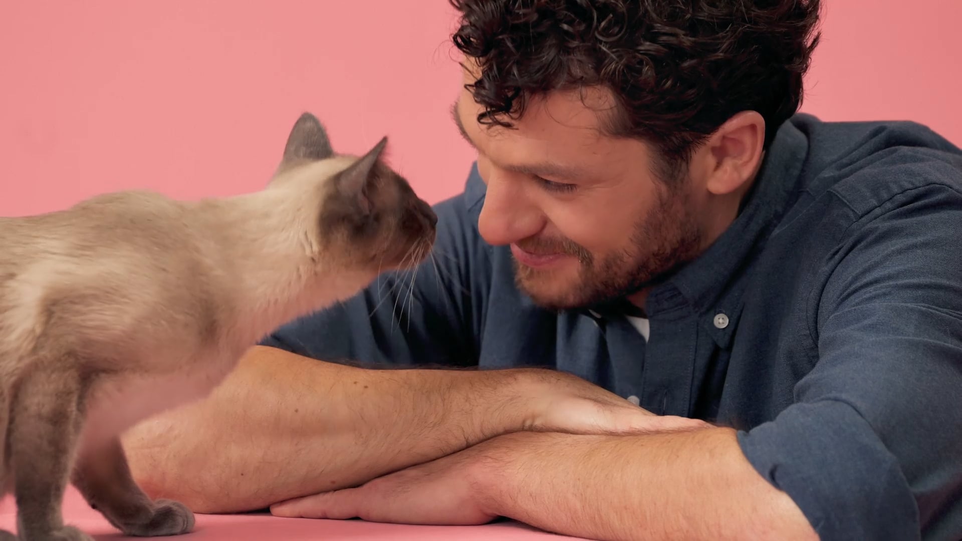 ROYAL CANIN – Siam (fr)