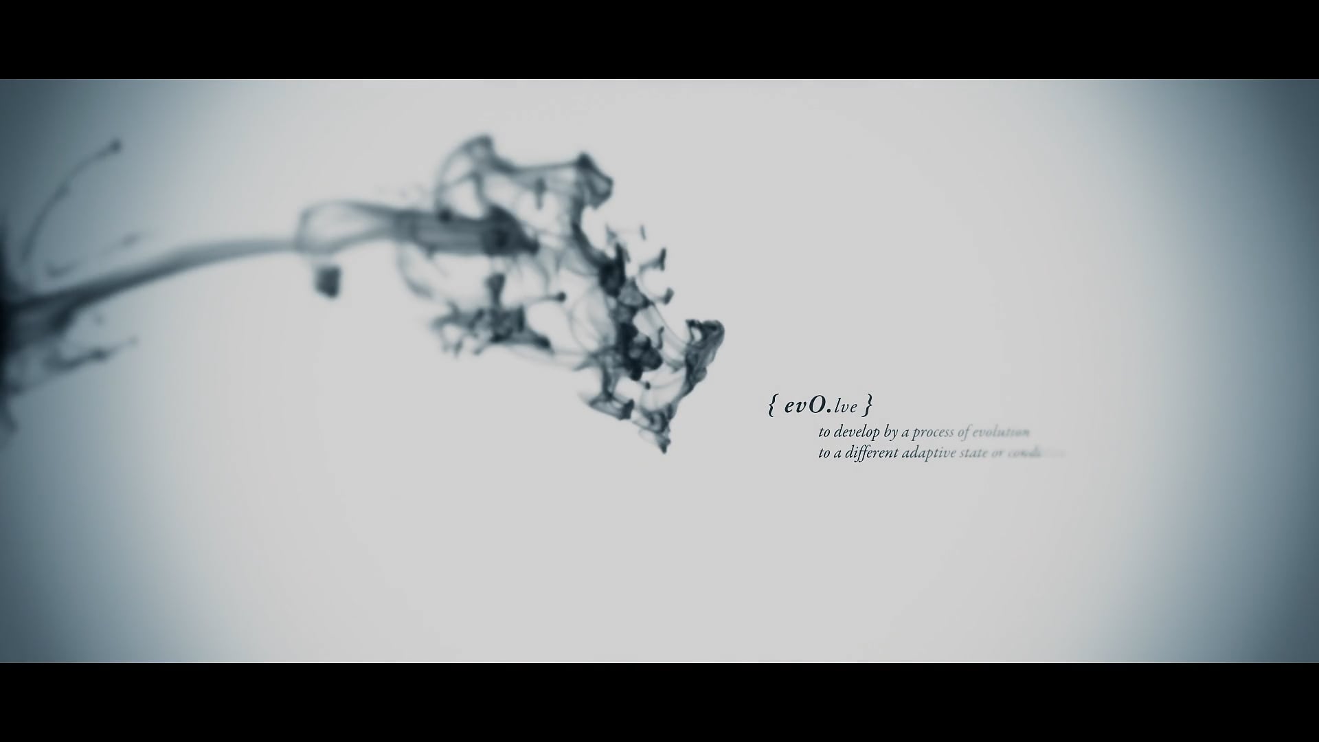 BOSE – Evolve