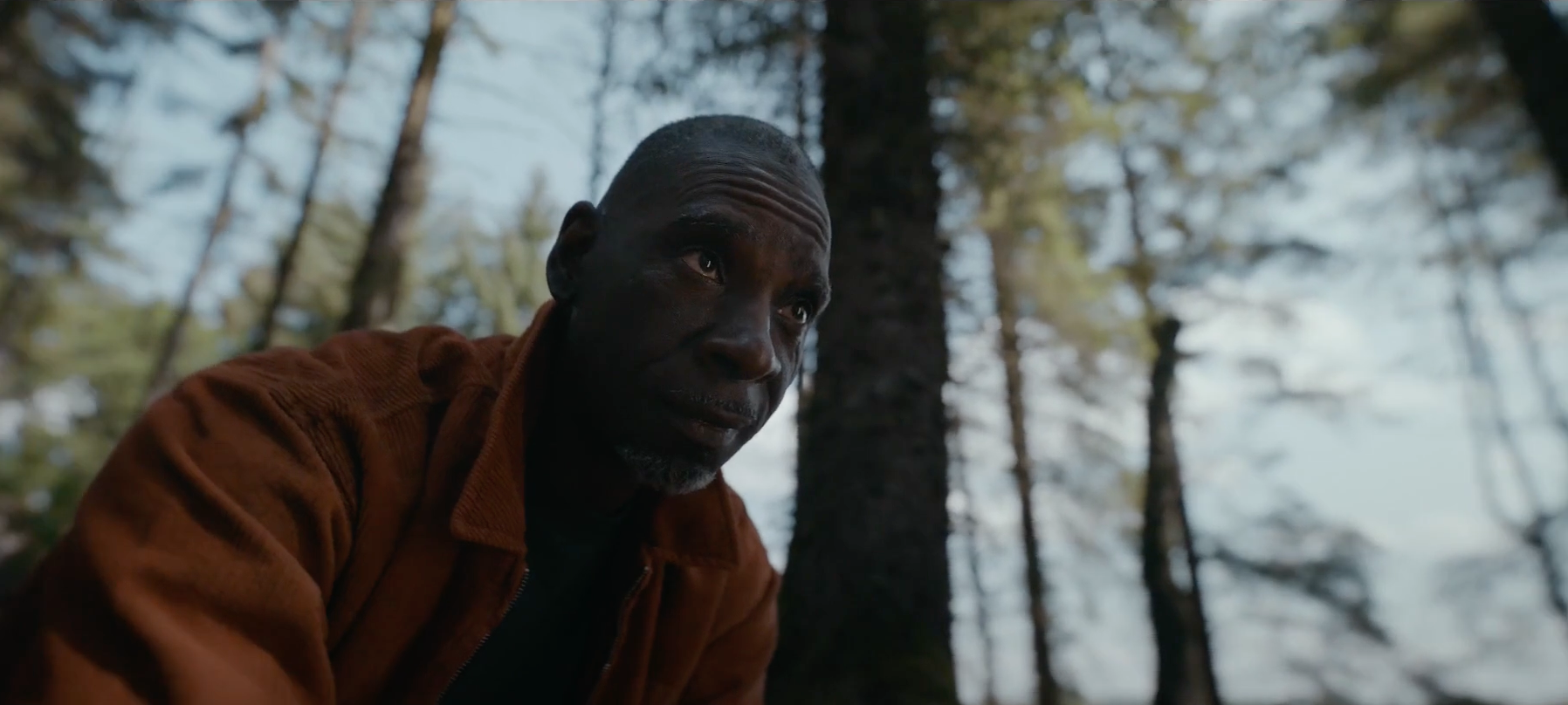 ROCHE – Everywhere you go