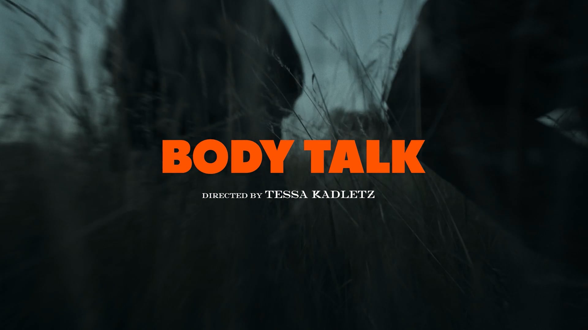 PARADISE LTD – Body Talk