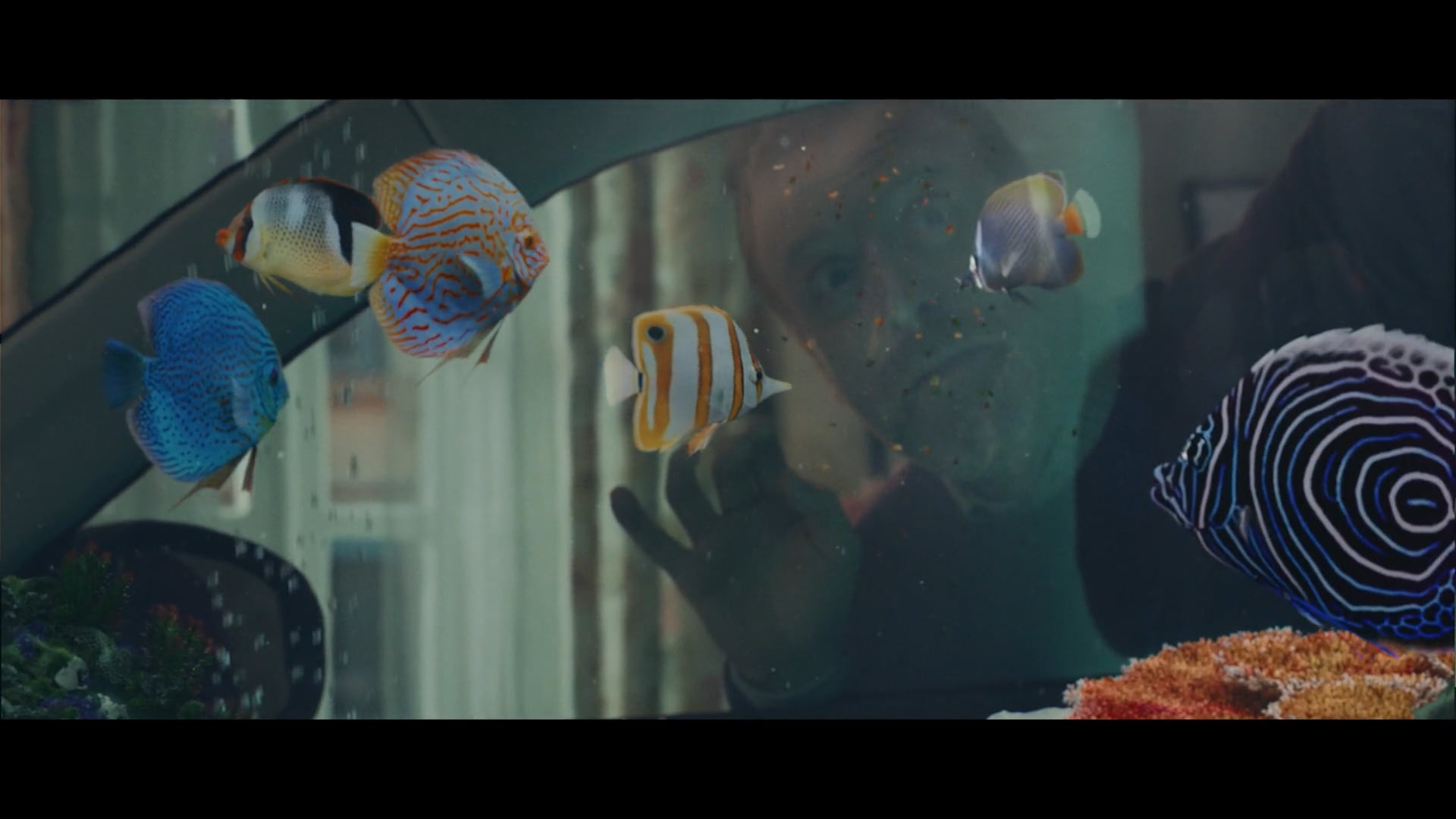 FACILE.IT – Acquario