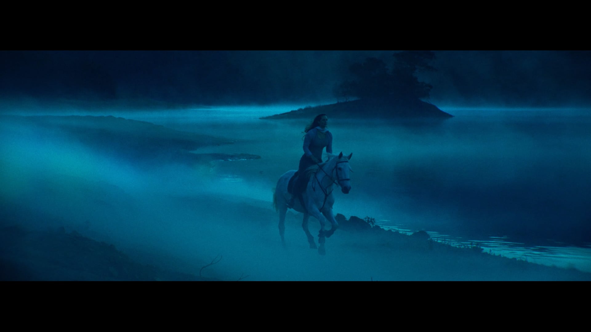 NISSAN NAVARA – Wild horses